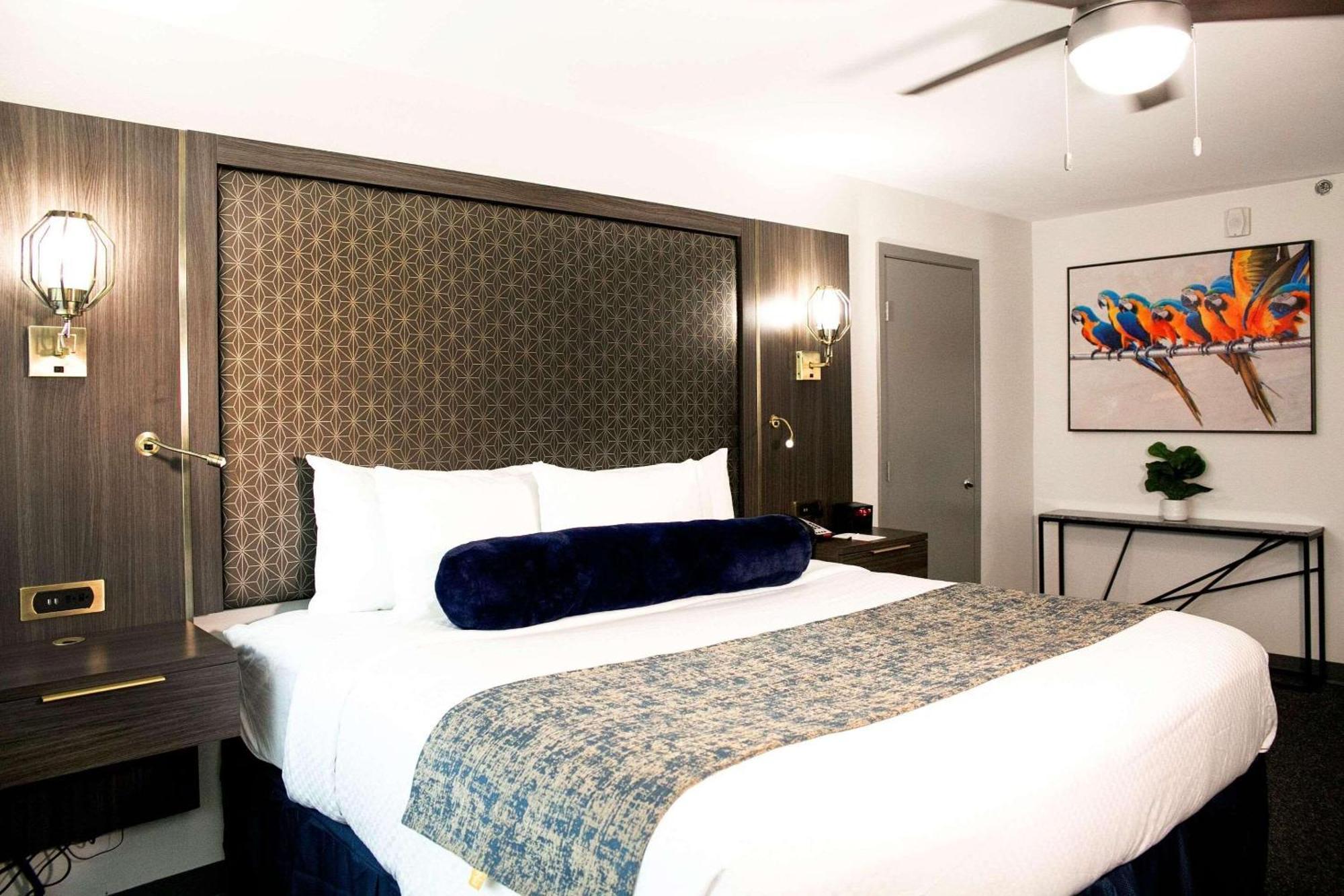 Radisson Hotel Mcallen Airport Екстериор снимка
